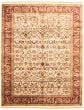 Bordered  Traditional Ivory Area rug 8x10 Indian Hand-knotted 335556