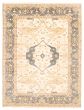 Bordered  Traditional Ivory Area rug 9x12 Indian Hand-knotted 344847