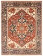 Bordered  Traditional Red Area rug 10x14 Indian Hand-knotted 344960
