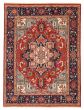 Bordered  Traditional Red Area rug 6x9 Indian Hand-knotted 386716