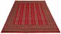 Bordered  Tribal Red Area rug 6x9 Pakistani Hand-knotted 305355