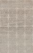Transitional Grey Area rug 5x8 Indian Hand-knotted 221745