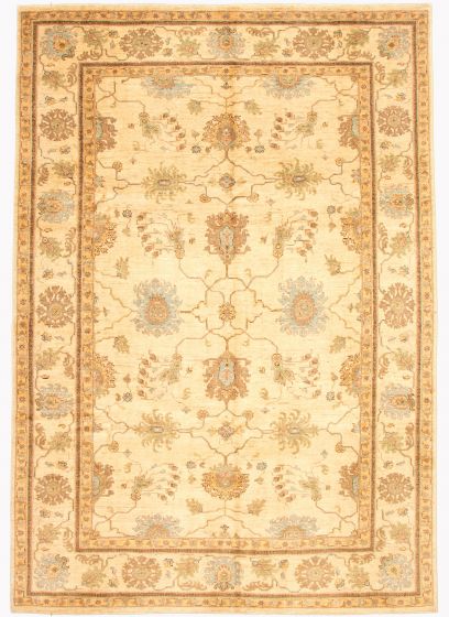 Bordered  Traditional Ivory Area rug 8x10 Afghan Hand-knotted 346752
