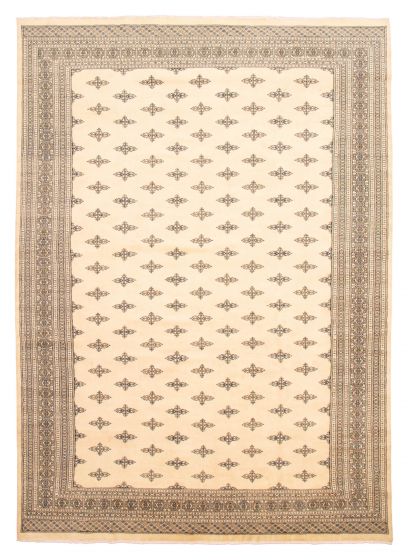 Bordered  Traditional Ivory Area rug 10x14 Pakistani Hand-knotted 363408