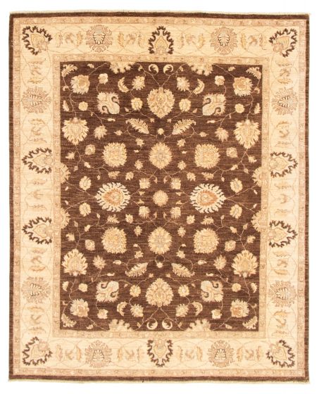 Bordered  Traditional Brown Area rug 6x9 Afghan Hand-knotted 318182