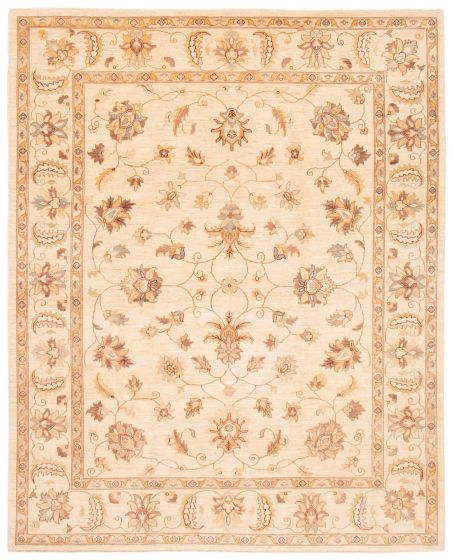 Bordered  Traditional Ivory Area rug 6x9 Afghan Hand-knotted 379259