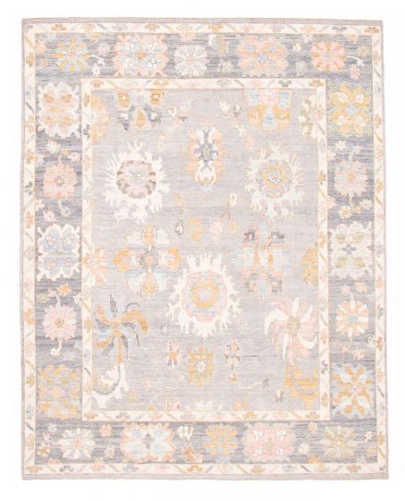 Bordered  Transitional Grey Area rug 6x9 Pakistani Hand-knotted 381789