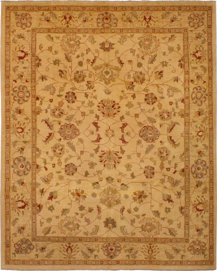 Bordered  Traditional Brown Area rug 8x10 Indian Hand-knotted 268448