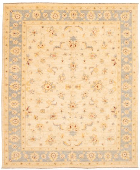 Bordered  Traditional Ivory Area rug 6x9 Pakistani Hand-knotted 336626